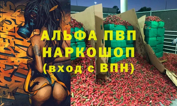 СК Богородск